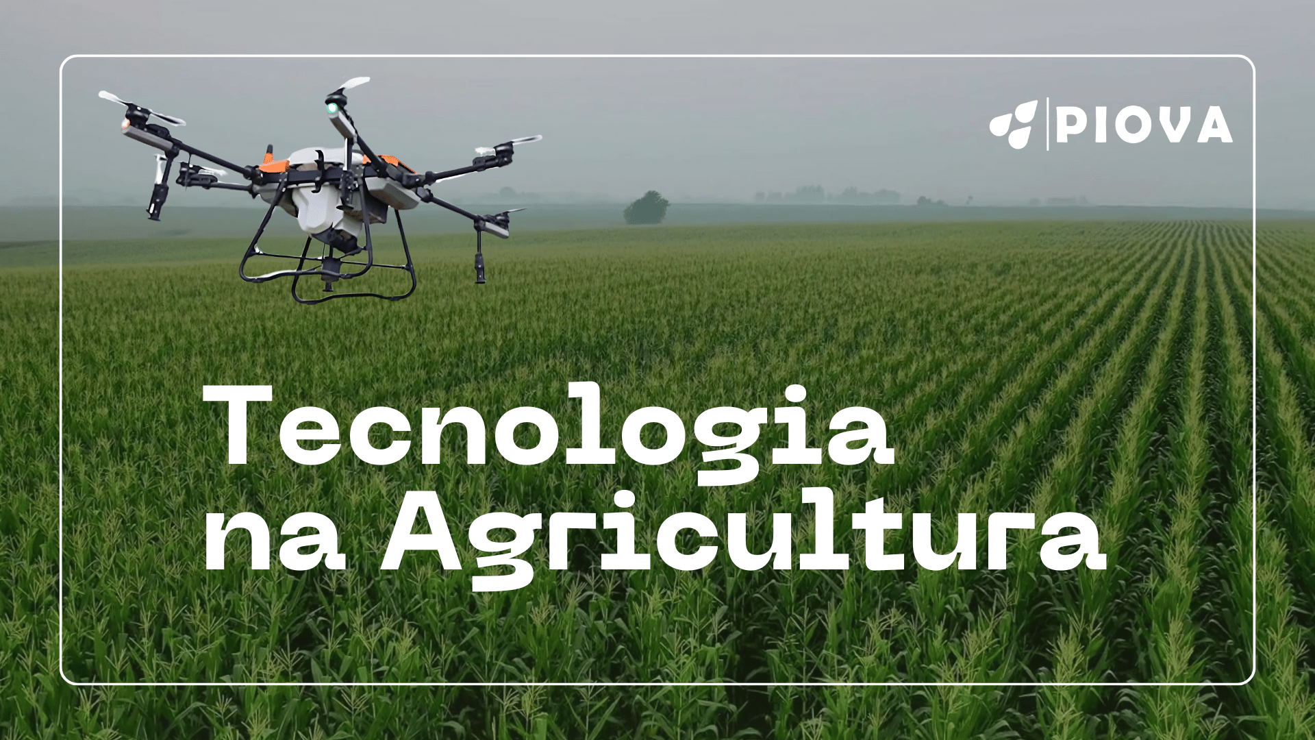 Green and White Clean and Simple Technology Keynote Presentation (2).png