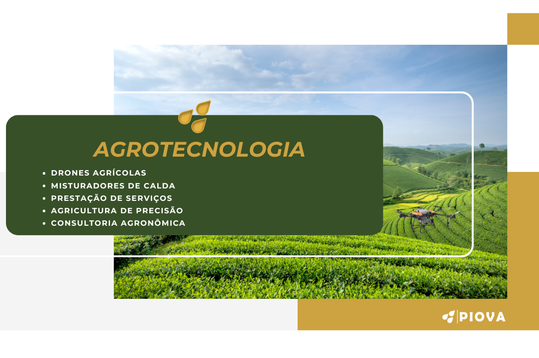 Piova Ltda (1083 x 720 px) (1083 x 720 px).png